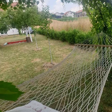 Zelena Dolina * Vitez