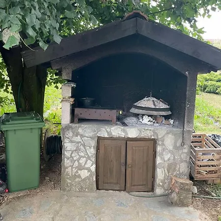Zelena Dolina * Vitez